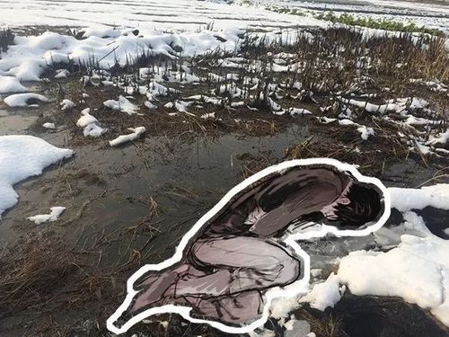 2024新澳门正版免费挂牌灯牌:1家3口溺水2死1失联