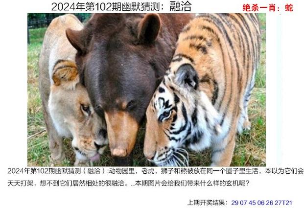 新澳彩免费长期资料大全:弄错门牌新房被拆光