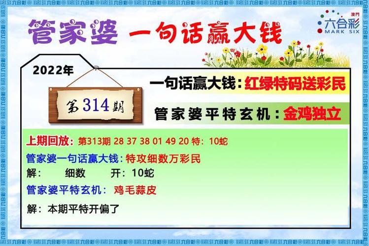 收集各类澳门彩资料的软件叫什么:美钢铝关税提至50%