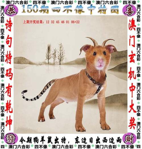 新澳彩免费长期资料大全:向棋牌室借4000赌博