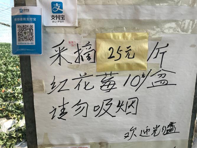 新澳2025年最新版资料柳媚花明:这些食物是湿气之源